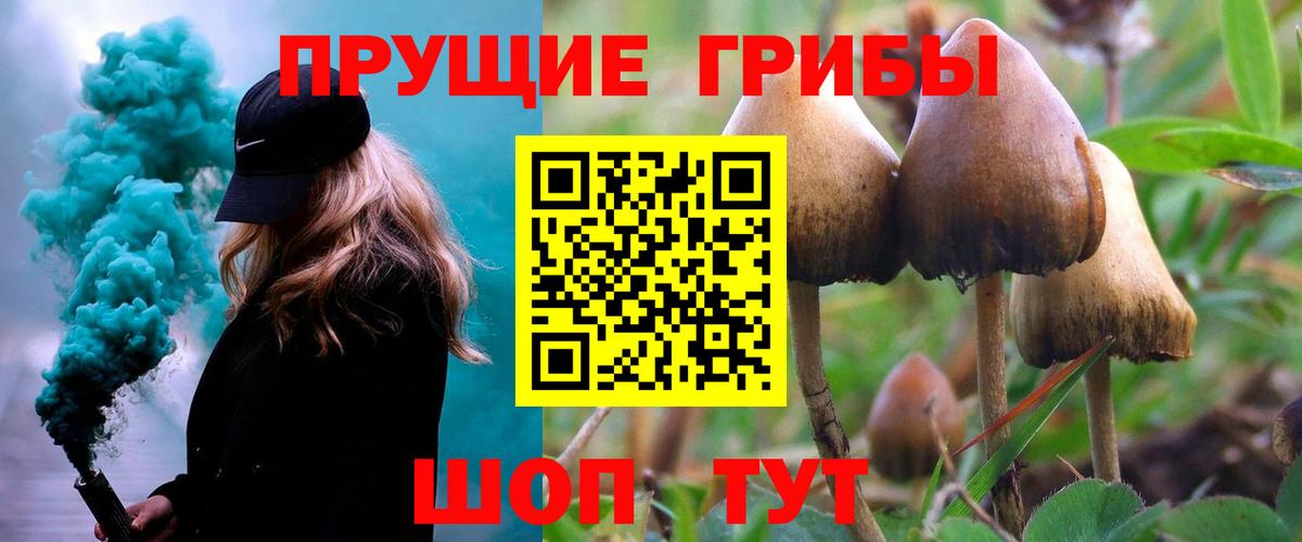 Большой Камень  Галлюциногенные грибы MAGIC MUSHROOMS  Вход с VPN 
