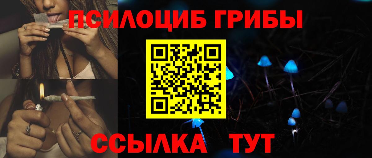 Псилоцибиновые грибы Psilocybe Большой Камень